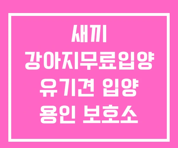 새끼 강아지무료입양 유기견 입양 용인 보호소 새끼 강아지무료입양 유기견 입양 용인 보호소