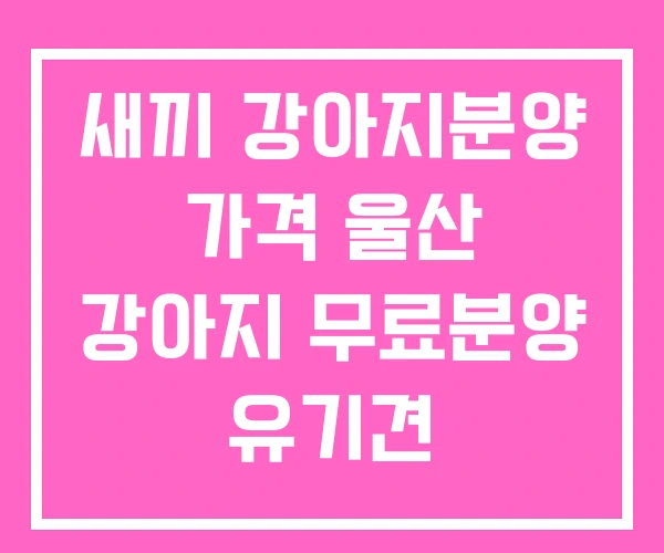 새끼 강아지분양 가격 울산 강아지 무료분양 유기견 새끼 강아지분양 가격 울산 강아지 무료분양 유기견