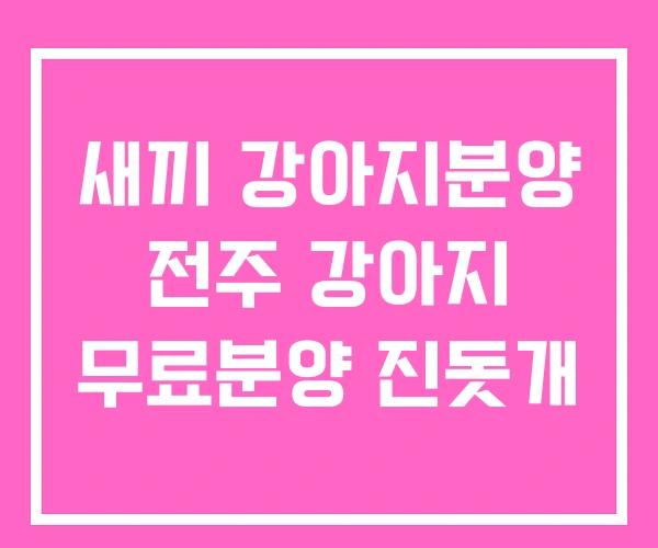 새끼 강아지분양 전주 강아지 무료분양 진돗개