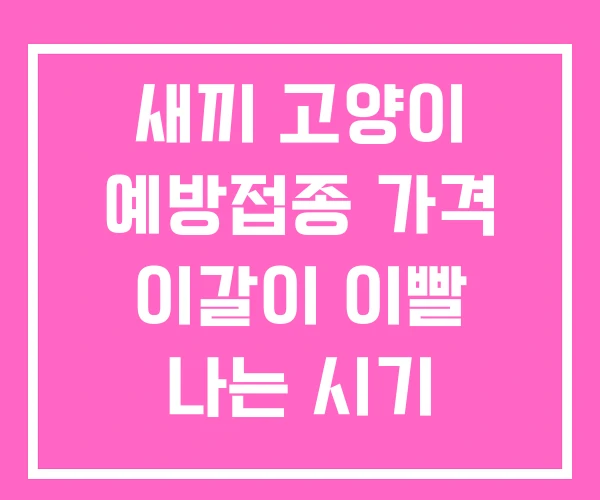 새끼 고양이 예방접종 가격 이갈이 이빨 나는 시기 새끼 고양이 예방접종 가격 이갈이 이빨 나는 시기