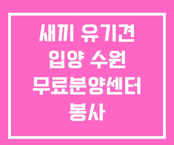 새끼 유기견 입양 수원 무료분양센터 봉사 새끼 유기견 입양 수원 무료분양센터 봉사