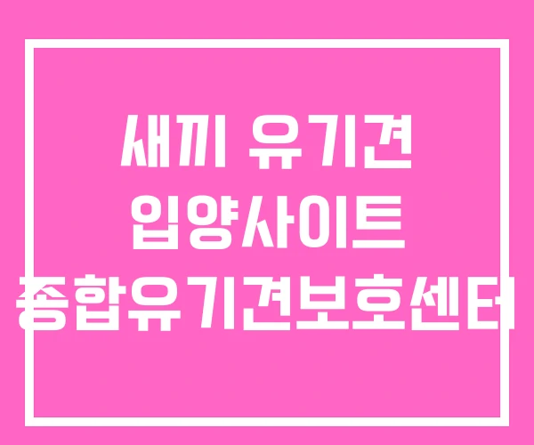새끼 유기견 입양사이트 종합유기견보호센터 새끼 유기견 입양사이트 종합유기견보호센터