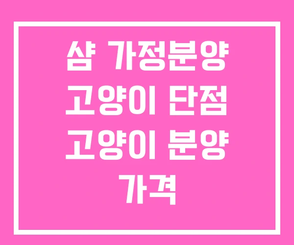 샴 가정분양 고양이 단점 고양이 분양 가격 샴 가정분양 고양이 단점 고양이 분양 가격