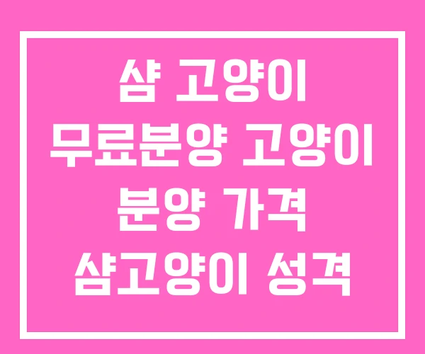 샴 고양이 무료분양 고양이 분양 가격 샴고양이 성격 샴 고양이 무료분양 고양이 분양 가격 샴고양이 성격