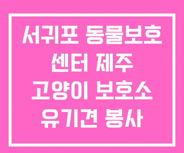 서귀포 동물보호 센터 제주 고양이 보호소 유기견 봉사
