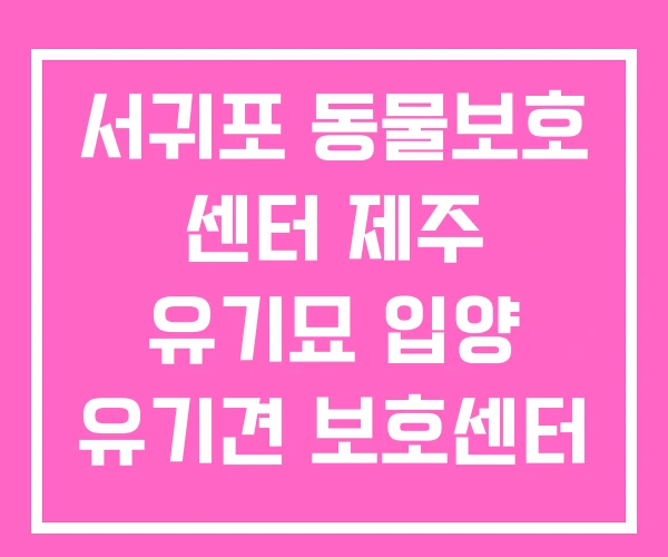 서귀포 동물보호 센터 제주 유기묘 입양 유기견 보호센터