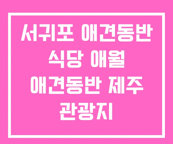 서귀포 애견동반 식당 애월 애견동반 제주 관광지