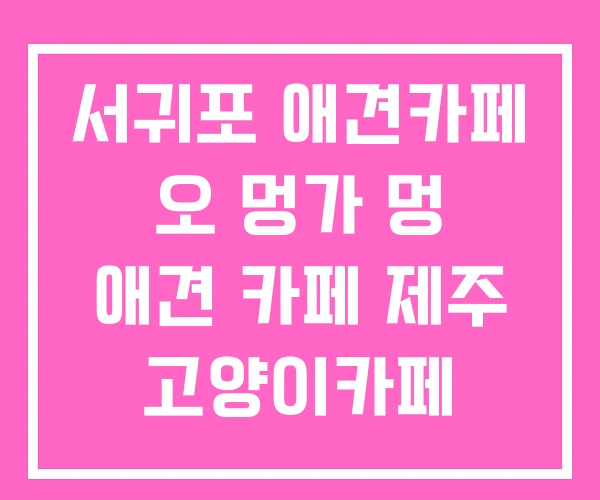 서귀포 애견카페 오 멍가 멍 애견 카페 제주 고양이카페 서귀포 애견카페 오 멍가 멍 애견 카페 제주 고양이카페
