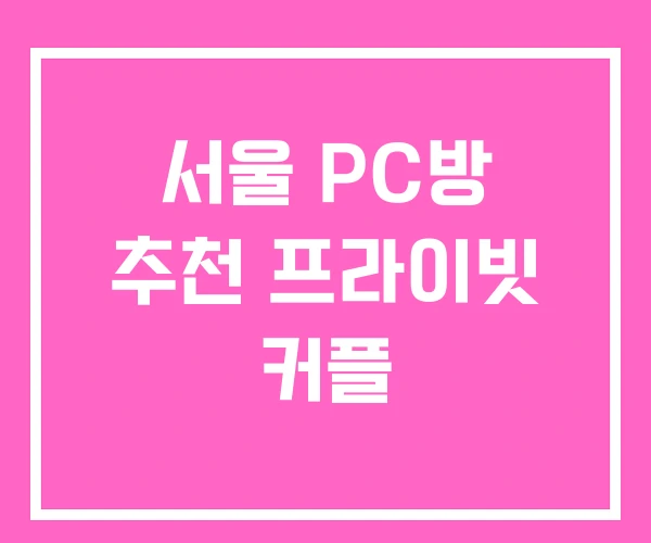 서울 PC방 추천 프라이빗 커플 서울 PC방 추천 프라이빗 커플