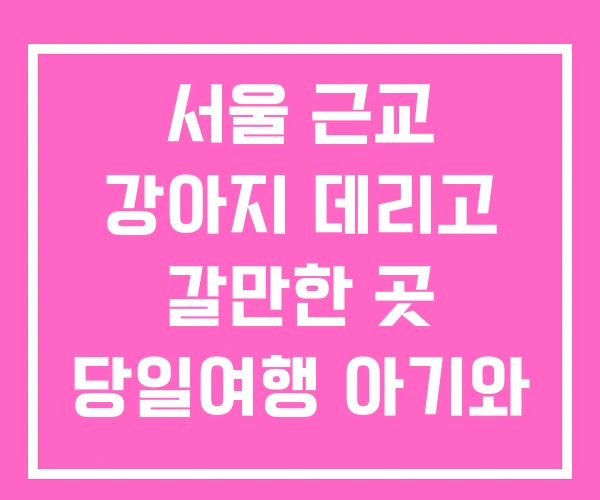 서울 근교 강아지 데리고 갈만한 곳 당일여행 아기와