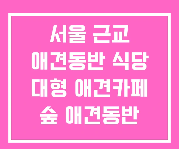 서울 근교 애견동반 식당 대형 애견카페 숲 애견동반