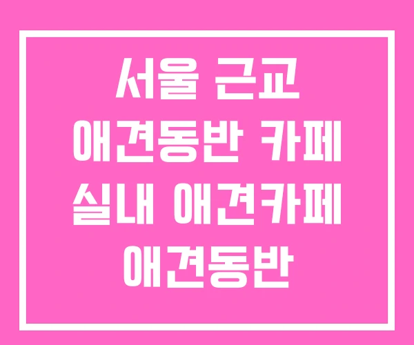 서울 근교 애견동반 카페 실내 애견카페 애견동반