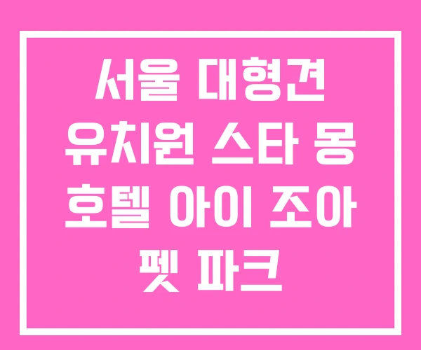 서울 대형견 유치원 스타 몽 호텔 아이 조아 펫 파크