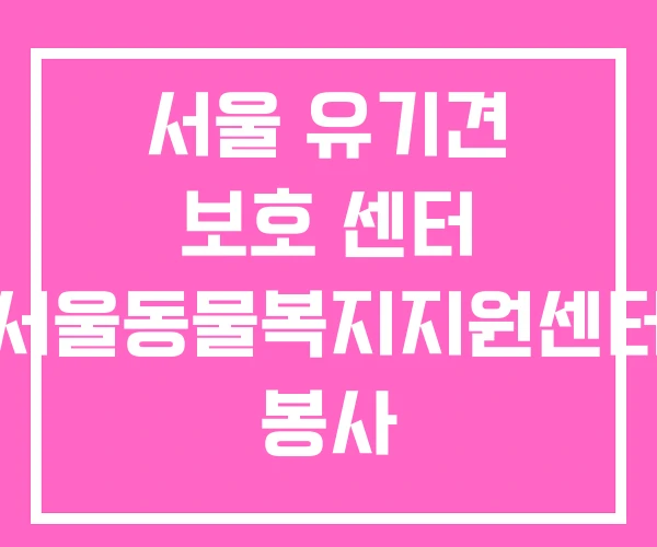 서울 유기견 보호 센터 서울동물복지지원센터 봉사 서울 유기견 보호 센터 서울동물복지지원센터 봉사