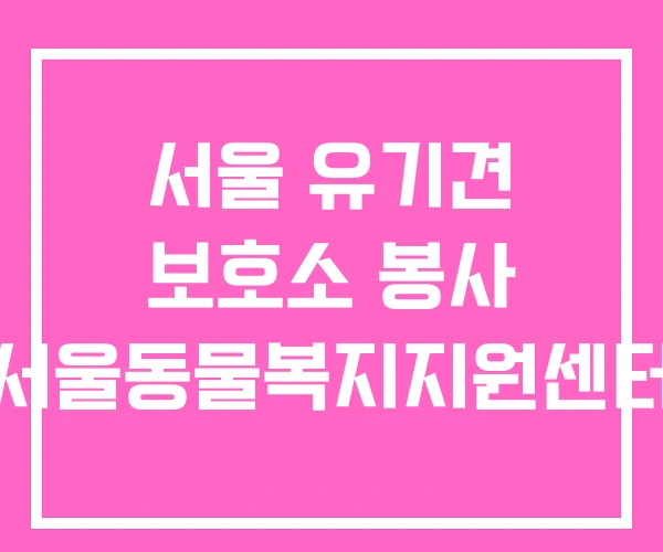 서울 유기견 보호소 봉사 서울동물복지지원센터