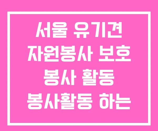 서울 유기견 자원봉사 보호 봉사 활동 봉사활동 하는 법 서울 유기견 자원봉사 보호 봉사 활동 봉사활동 하는 법