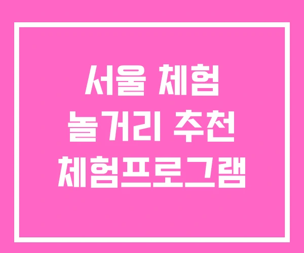 서울 체험 놀거리 추천 체험프로그램