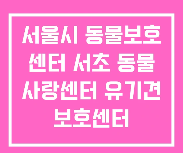 서울시 동물보호 센터 서초 동물 사랑센터 유기견 보호센터 서울시 동물보호 센터 서초 동물 사랑센터 유기견 보호센터