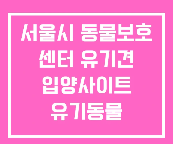 서울시 동물보호 센터 유기견 입양사이트 유기동물 서울시 동물보호 센터 유기견 입양사이트 유기동물