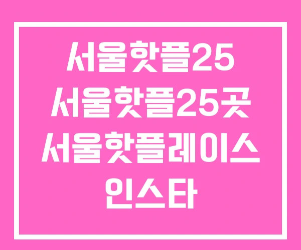 서울핫플25 서울핫플25곳 서울핫플레이스 인스타