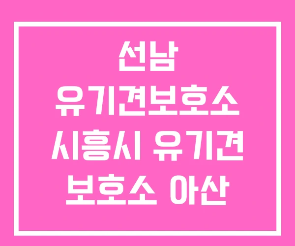 선남 유기견보호소 시흥시 유기견 보호소 아산 선남 유기견보호소 시흥시 유기견 보호소 아산