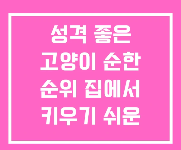 성격 좋은 고양이 순한 순위 집에서 키우기 쉬운 종류