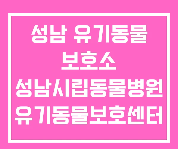 성남 유기동물 보호소 성남시립동물병원 유기동물보호센터 성남 유기동물 보호소 성남시립동물병원 유기동물보호센터