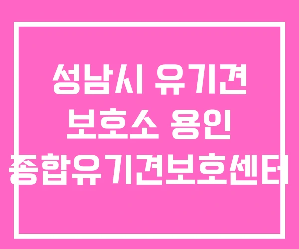 성남시 유기견 보호소 용인 종합유기견보호센터 성남시 유기견 보호소 용인 종합유기견보호센터