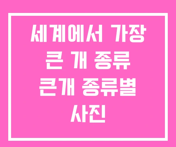 세계에서 가장 큰 개 종류 큰개 종류별 사진