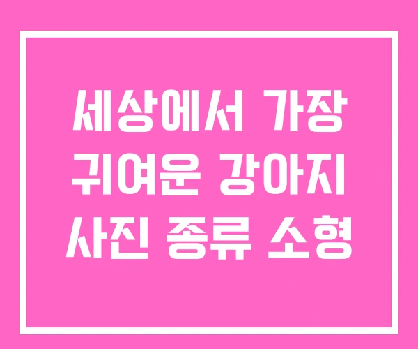 세상에서 가장 귀여운 강아지 사진 종류 소형 세상에서 가장 귀여운 강아지 사진 종류 소형