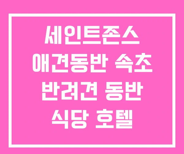 세인트존스 애견동반 속초 반려견 동반 식당 호텔