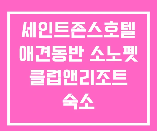 세인트존스호텔 애견동반 소노펫 클럽앤리조트 숙소 세인트존스호텔 애견동반 소노펫 클럽앤리조트 숙소