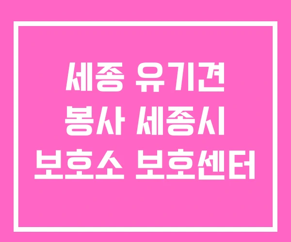 세종 유기견 봉사 세종시 보호소 보호센터