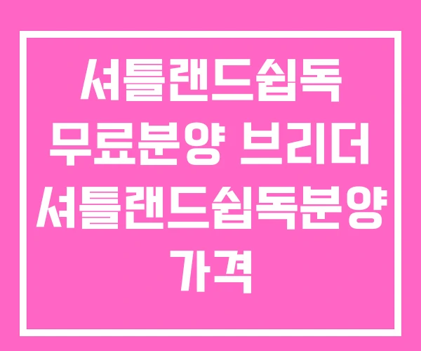 셔틀랜드쉽독 무료분양 브리더 셔틀랜드쉽독분양 가격 셔틀랜드쉽독 무료분양 브리더 셔틀랜드쉽독분양 가격