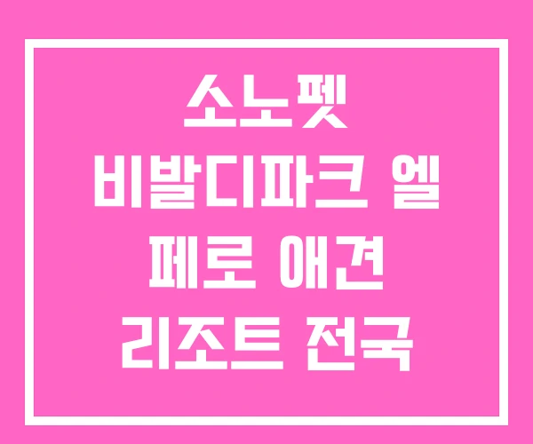 소노펫 비발디파크 엘 페로 애견 리조트 전국 애견동반 소노펫 비발디파크 엘 페로 애견 리조트 전국 애견동반