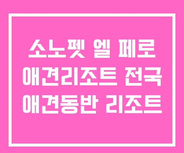 소노펫 엘 페로 애견리조트 전국 애견동반 리조트