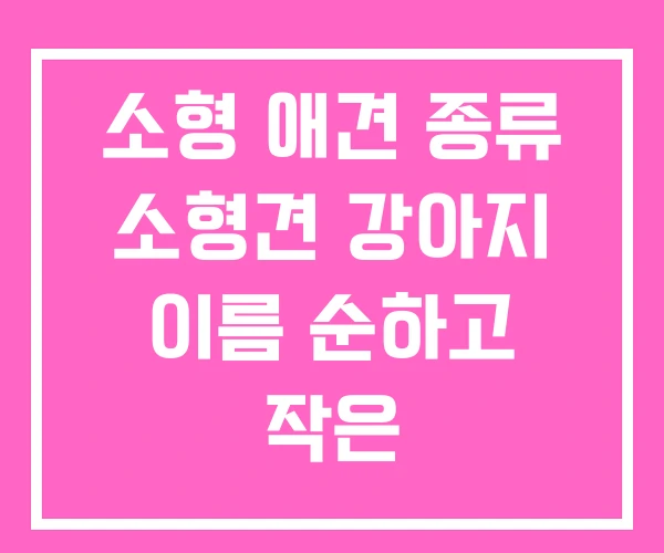 소형 애견 종류 소형견 강아지 이름 순하고 작은