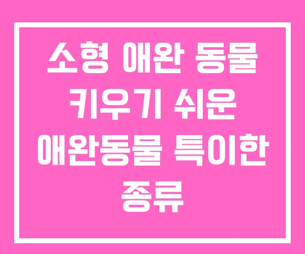 소형 애완 동물 키우기 쉬운 애완동물 특이한 종류