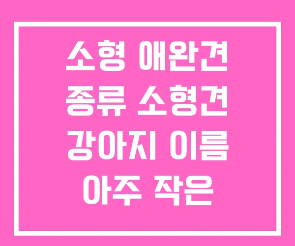 소형 애완견 종류 소형견 강아지 이름 아주 작은