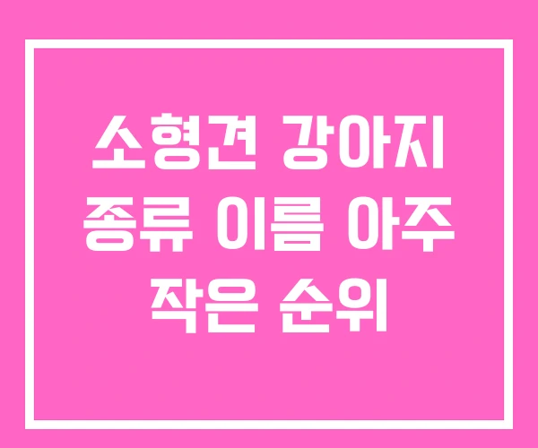 소형견 강아지 종류 이름 아주 작은 순위