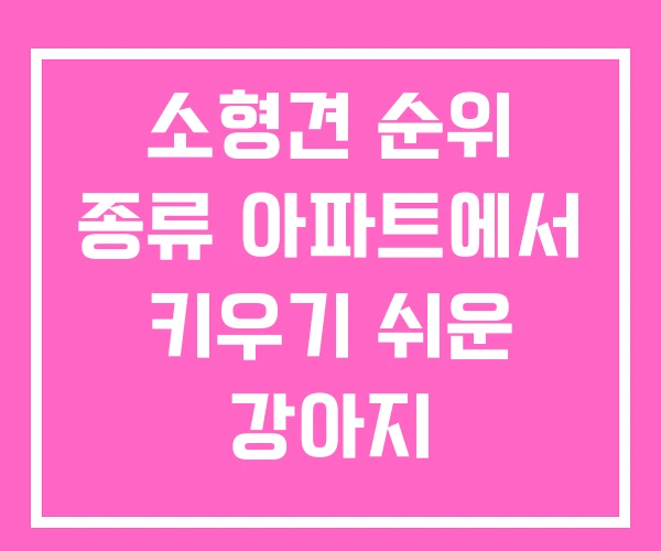 소형견 순위 종류 아파트에서 키우기 쉬운 강아지