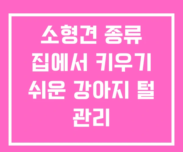 소형견 종류 집에서 키우기 쉬운 강아지 털 관리 소형견 종류 집에서 키우기 쉬운 강아지 털 관리