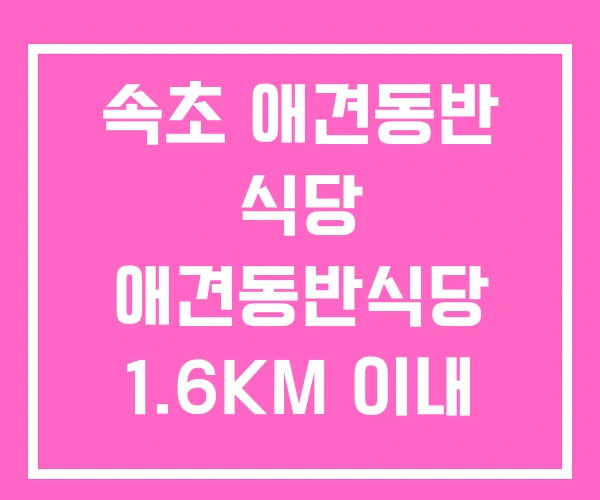 속초 애견동반 식당 애견동반식당 1.6KM 이내
