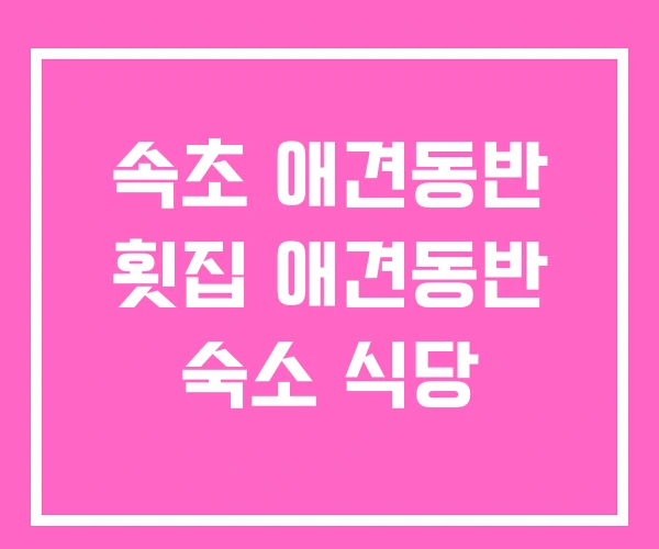 속초 애견동반 횟집 애견동반 숙소 식당
