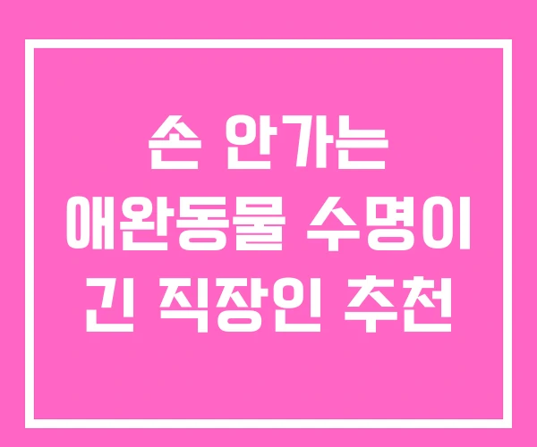 손 안가는 애완동물 수명이 긴 직장인 추천