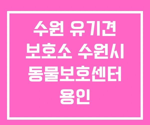 수원 유기견 보호소 수원시 동물보호센터 용인