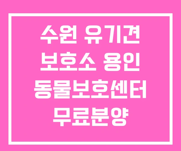 수원 유기견 보호소 용인 동물보호센터 무료분양