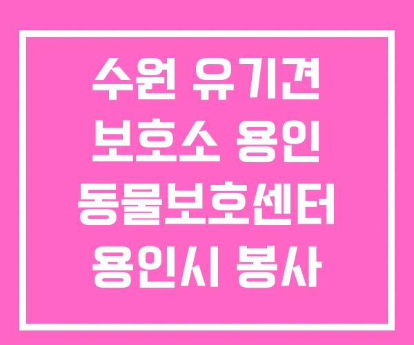수원 유기견 보호소 용인 동물보호센터 용인시 봉사