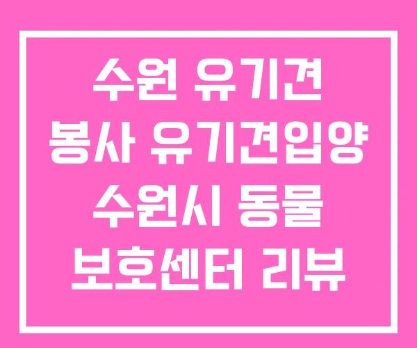 수원 유기견 봉사 유기견입양 수원시 동물 보호센터 리뷰