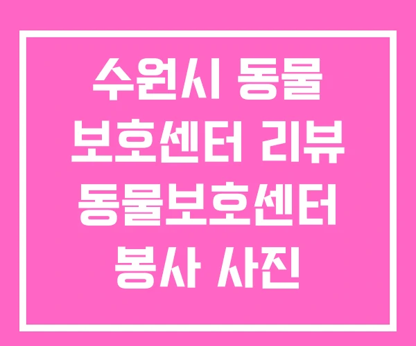 수원시 동물 보호센터 리뷰 동물보호센터 봉사 사진 수원시 동물 보호센터 리뷰 동물보호센터 봉사 사진